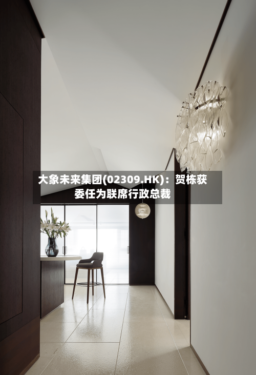 大象未来集团(02309.HK)：贺栋获委任为联席行政总裁