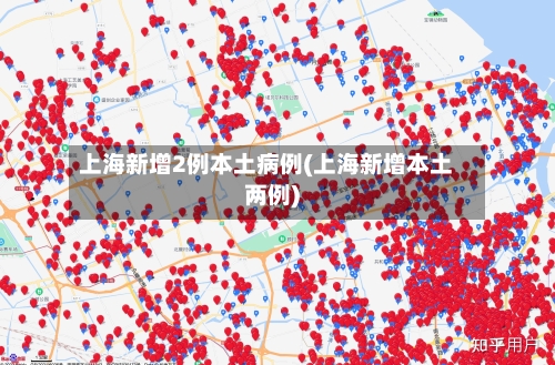 上海新增2例本土病例(上海新增本土两例)-第2张图片