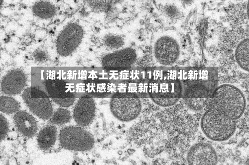 【湖北新增本土无症状11例,湖北新增无症状感染者最新消息】-第3张图片