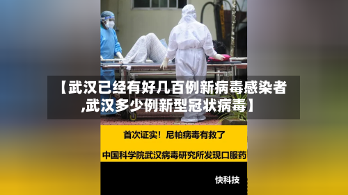 【武汉已经有好几百例新病毒感染者,武汉多少例新型冠状病毒】-第2张图片