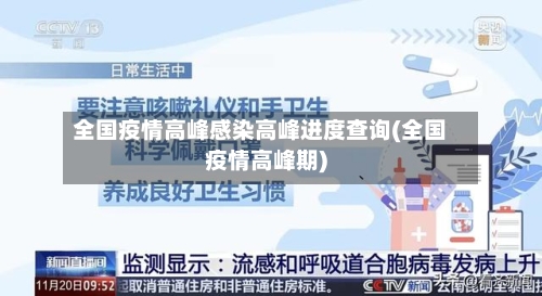 全国疫情高峰感染高峰进度查询(全国疫情高峰期)-第2张图片