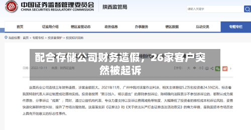 配合存储公司财务造假,26家客户突然被起诉