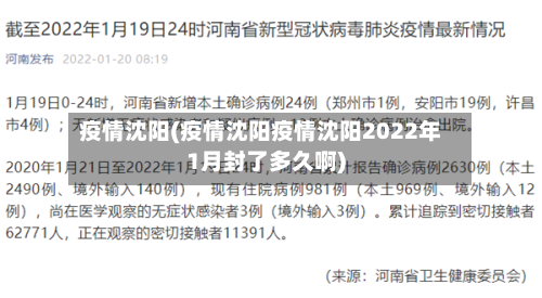 疫情沈阳(疫情沈阳疫情沈阳2022年1月封了多久啊)-第3张图片