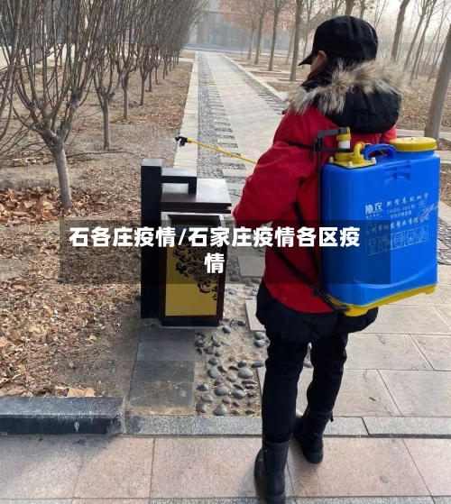 石各庄疫情/石家庄疫情各区疫情-第3张图片